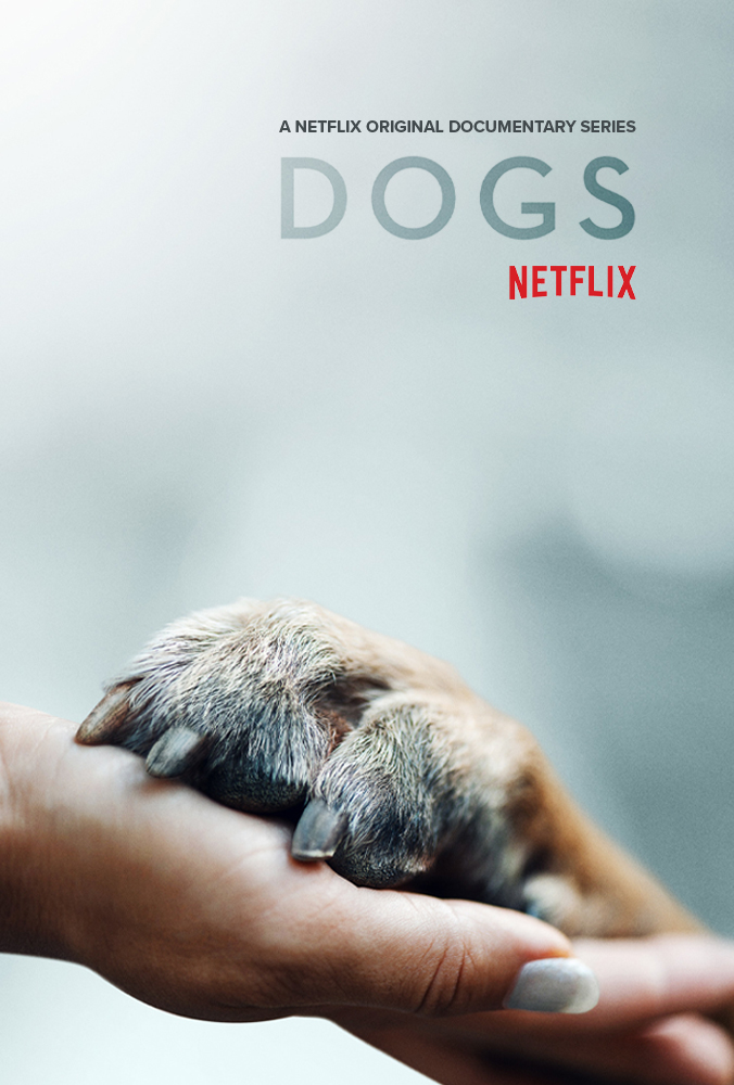 Poster DOGS S1E4: Scissors Down